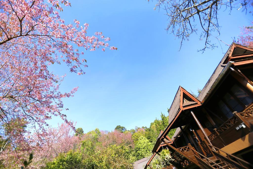 Angkhang Nature Resort Fang Exterior foto